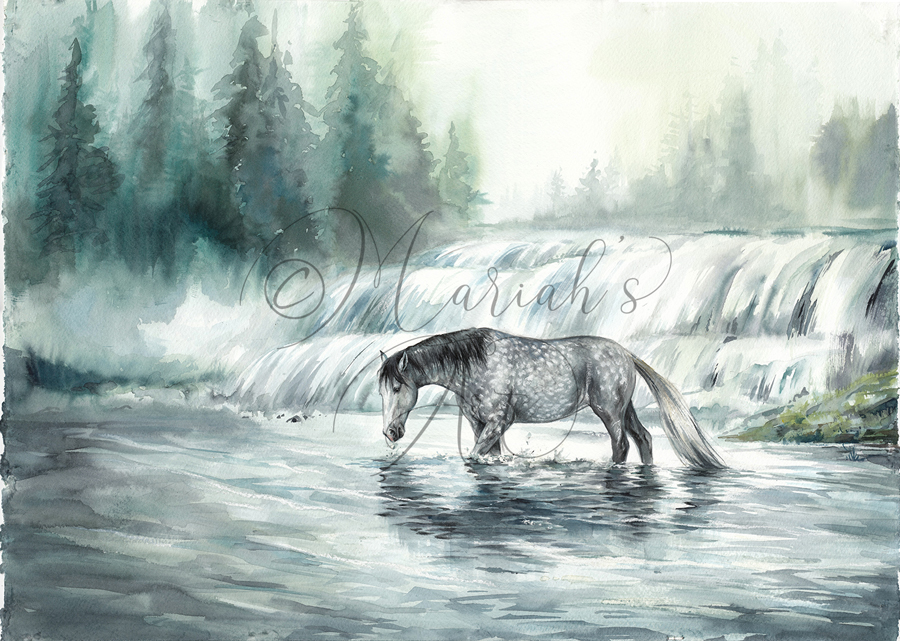 dapple grey horse in front of waterfall