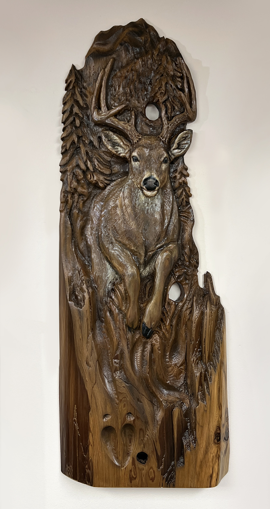 red squirrel sits in juniper den hanging mini shelf