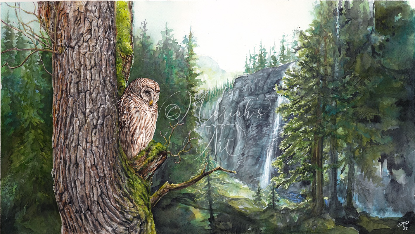 Owl sleeps on mossy tree watercolour