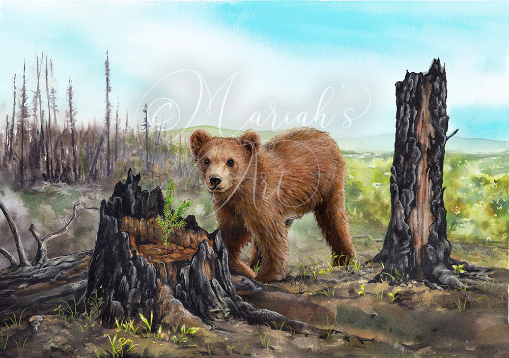 April Gemflower: Daisies and Diamonds