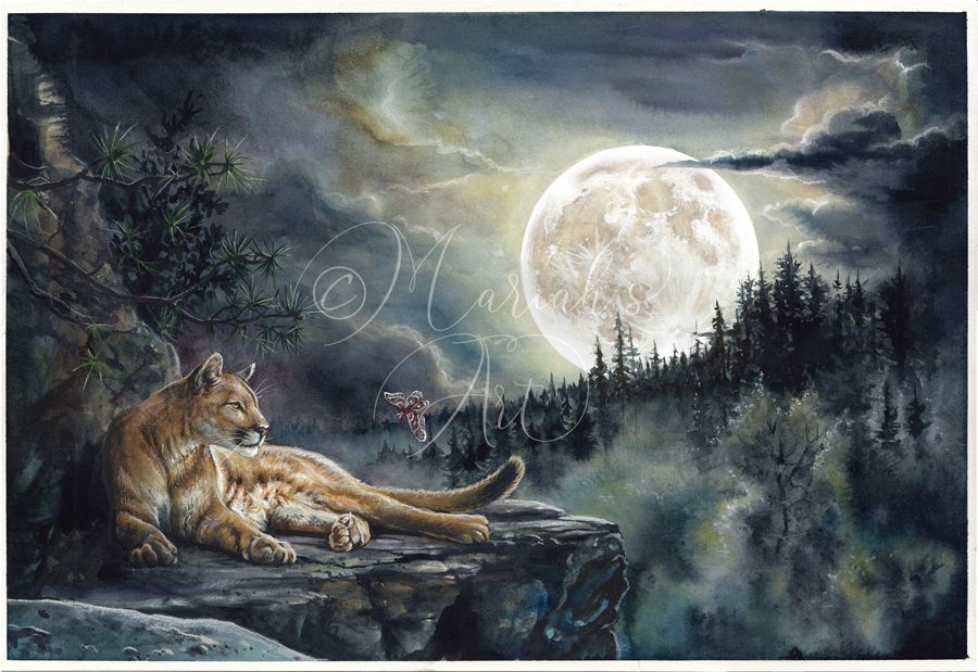 Cougar in moonlight looks at flying moth watercolour