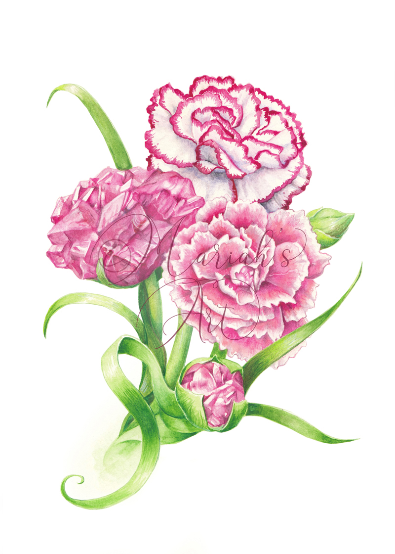 January Gemflower: Carnations & Garnet
