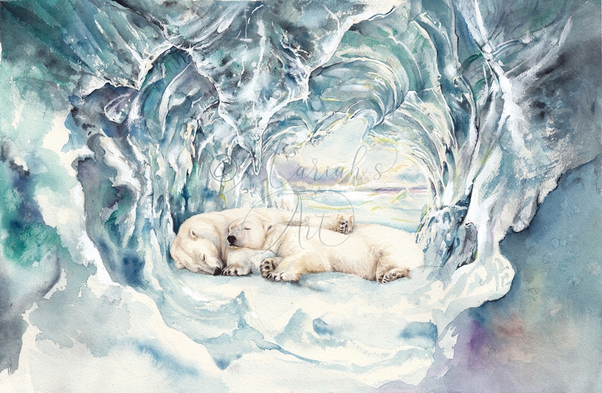 polar bears sleeping in ice cave