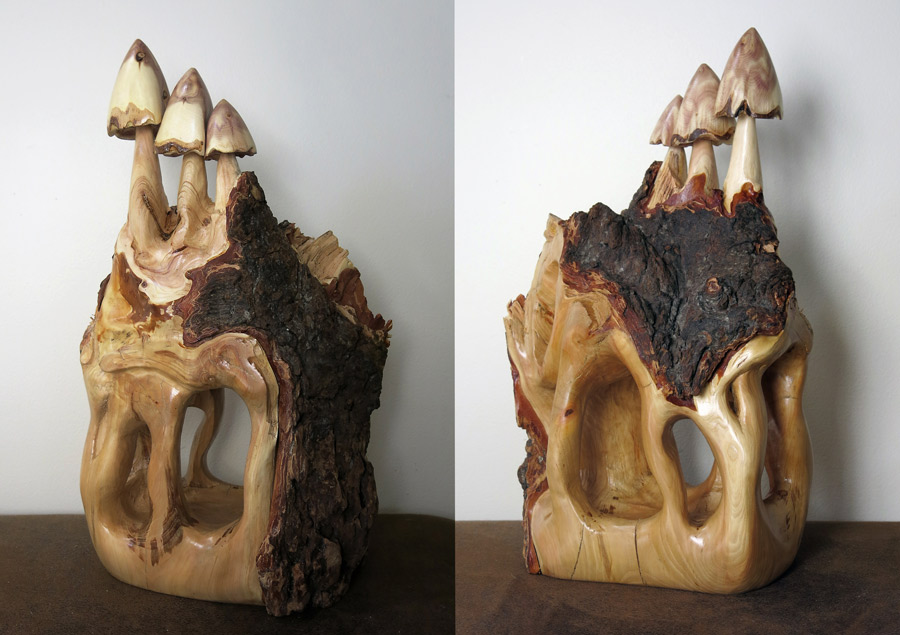 fairy house of hollowed out douglas fir with mushrooms