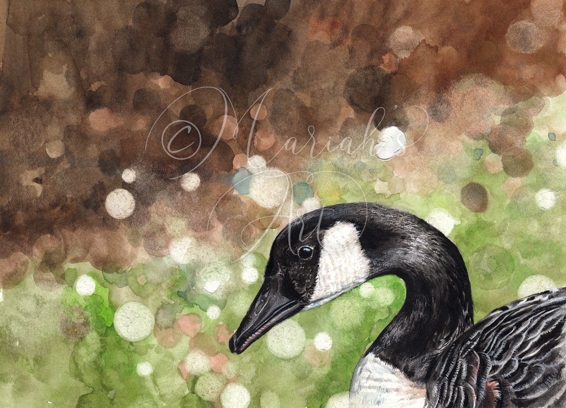 canadian goose bokeh watercolour