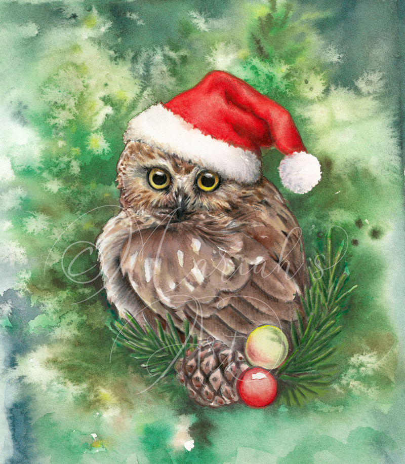 sawwhet owl wearing santa hat