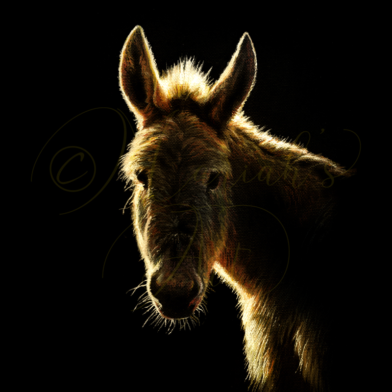 backlit profile of dun donkey