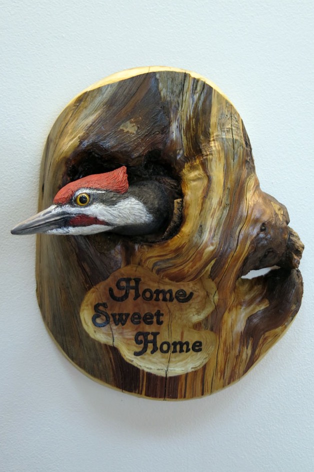 woodpecker in cedar den