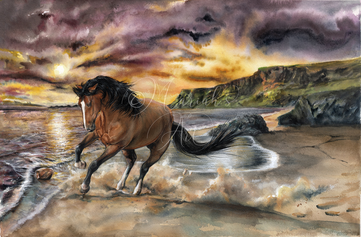 bay stallion gallops on sunset beach watercolour painting
