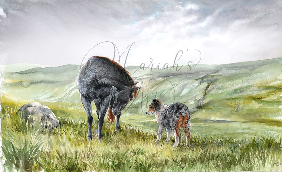 blue roan horse bows to blue merle sheepdog watercolour painting