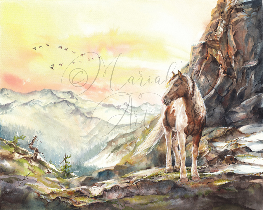 wild mountain pony on spring-melting mountainside watercolour painting
