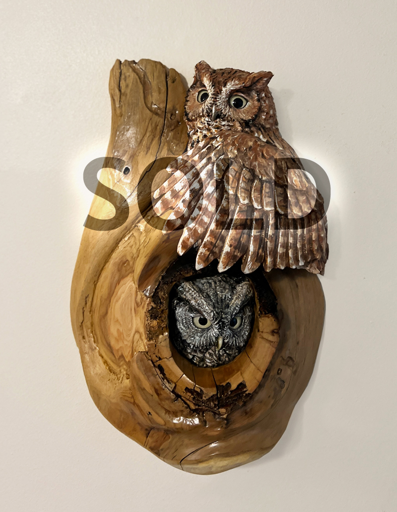 screech owl pair in cedar frame