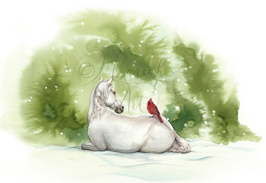 red cardinal bird perches on white horse watercolour painting