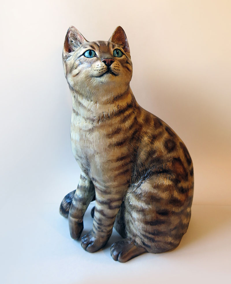 bengal cat