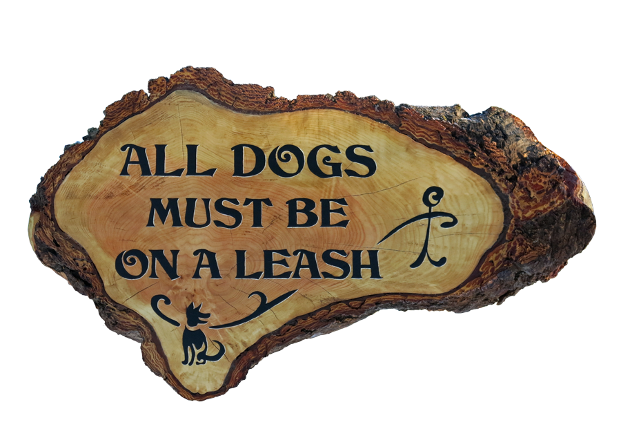 all dogs must be on a leash sign on fir