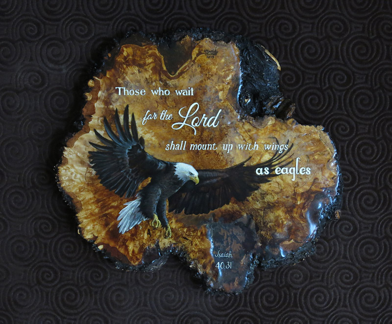 eagle painted on birch burl plaque
