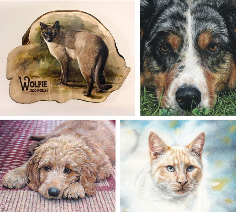 four examples of pet portraits, two cats, two dogs