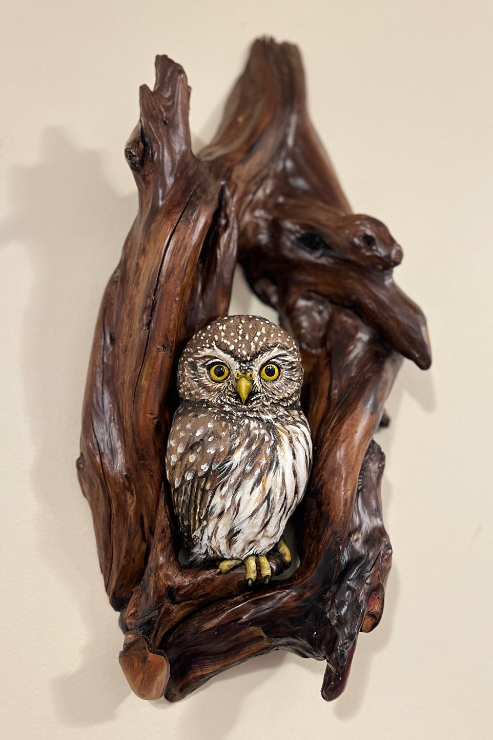 pygmy_owl_root